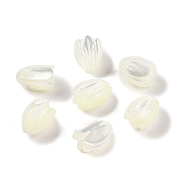 Natural Trochus Shell Flower Beads, Half Drilled, Tulip