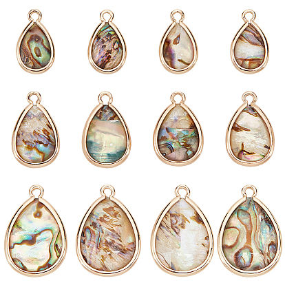 12шт 3 стили подвески из натуральной ракушки пауа, Подвески-капли из сплава со смолой