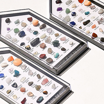 31 Styles Raw Rough Nuggets Mixed Natural Gemstone Specimen Display Decorations, with Glass Box