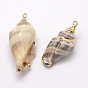 Golden Electroplated Conch Shell Pendants, 26~52x13~23x15~17mm, Hole: 2mm