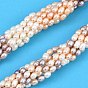 Three Color Natural Cultured Freshwater Pearl Beads Strands, Rice, Grade 3A