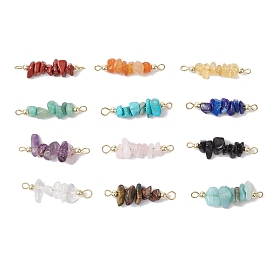 12Pcs 12 Styles Mixed Gemstone Chip Beaded Connector Charms, with 304 Stainless Steel Double Loops, Golden