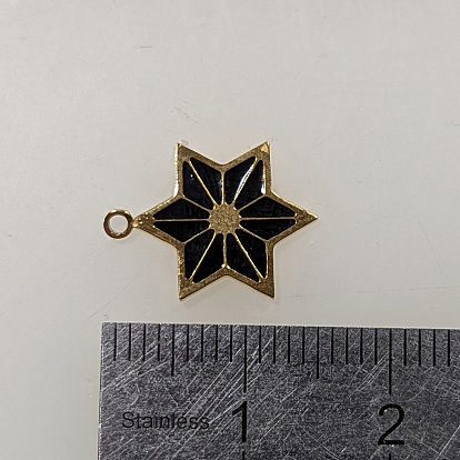 Pendentifs en acier inoxydable, avec l'émail, placage ionique (ip), étoiles