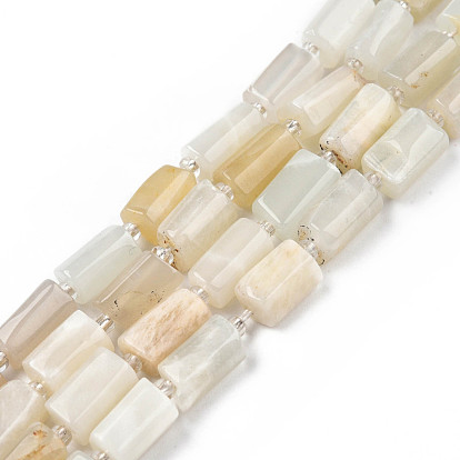 Natural White Moonstone Beads Strands, with Seed Beads, Faceted, Column