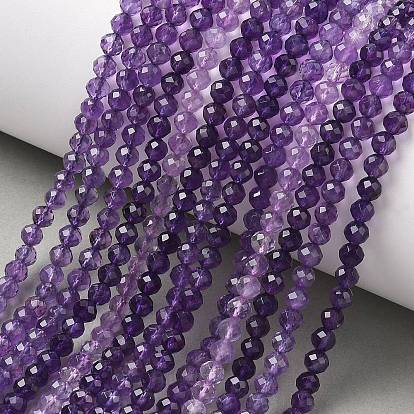 Natural Amethyst Beads Strands, Round, Faceted