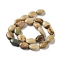 Natural Picture Jasper Beads Strands, Flat Oval