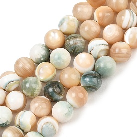 Natural Shell Beads Strands, Smooth Round