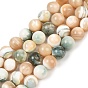 Natural Shell Beads Strands, Smooth Round