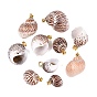 Brass & Natural Spiral Shell Pendants, Conch Charms, Light Gold