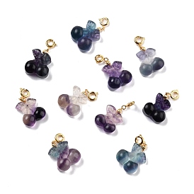 Natural Fluorite Carved Pendants, with Golden Plated Brass Findings, Cherry