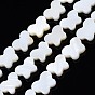 Natural Freshwater Shell Beads Strands, Butterfly