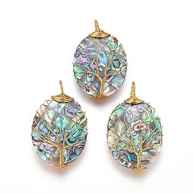 Abalone Shell/Paua ShellWire Wrapped Big Pendants, with Brass Findings, Oval with Tree