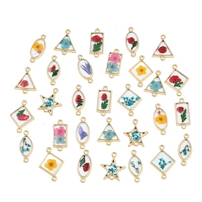 Подвески-коннекторы из сплава эпоксидной смолы, с сухих цветов внутри, золотые, разноцветные