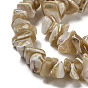 Natural Trochus Shell Beads Strands, Nuggets