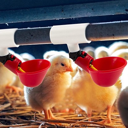 Fully Automatic Poultry Drinking Machine, Chicken Drinking Cup, Poultry Drinking Machine