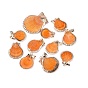Electroplated Golden Brass Trim Natural Sea Shell Pendants, Shell Shape Charms