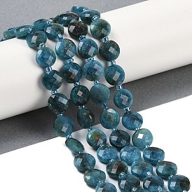 Natural Apatite Beads Strands, Faceted, Flat Round, with Seed Beads