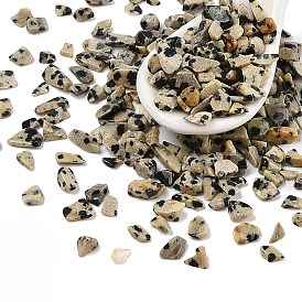 Pandahall Natural Dalmatian Jasper Chip Beads, No Hole/Undrilled