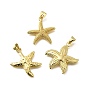 Латунные подвески, морская звезда, стойки покрытие, долговечный, без свинца и без кадмия