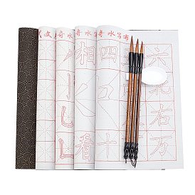 Writing Tool, with Gridded Magic Cloth Water-Writing, Spoon Shape Ink Tray Containers and Chinese Calligraphy Brushes Pen