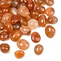 Cuentas de cornalina naturales, piedra caída, pepitas, sin agujero / sin perforar, Gemas para rellenar jarrones/sin perforar, gemas de relleno de jarrones
