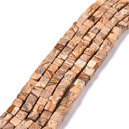 Natural Picture Jasper Beads Strands, Square