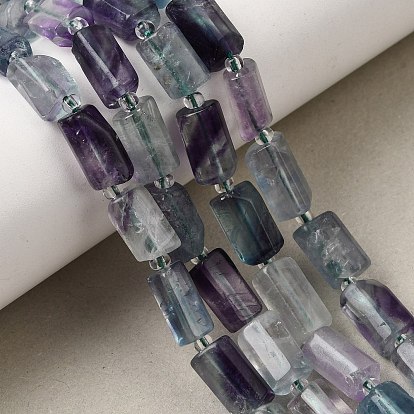 Natural Colorful Fluorite Beads Strands, Column, Faceted, with Seed Beads