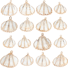 30шт. подвески из натуральной ракушки с гальваническим покрытием, Подвески в форме ракушек с латунной фурнитурой, цвет морской раковины