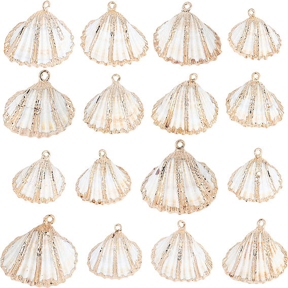 30шт. подвески из натуральной ракушки с гальваническим покрытием, Подвески в форме ракушек с латунной фурнитурой, цвет морской раковины