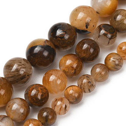Natural Tiger Quartz Beads Strands, Smooth Round