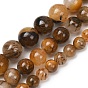 Natural Tiger Quartz Beads Strands, Smooth Round