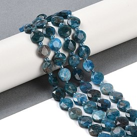 Natural Apatite Beads Strands, Faceted Pentagonal Cut, Flat Round, with Seed Beads