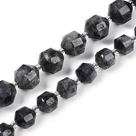 Natural Eagle Eye Stone Beads Strands, Faceted, Bicone, Double Terminated Point Prism Beads