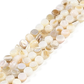 Natural Freshwater Shell  Beads Strands, Flat Round