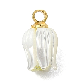 Подвески из натуральной раковины трохида/трохуса., Подвески в виде цветов с латунными креплениями., белые