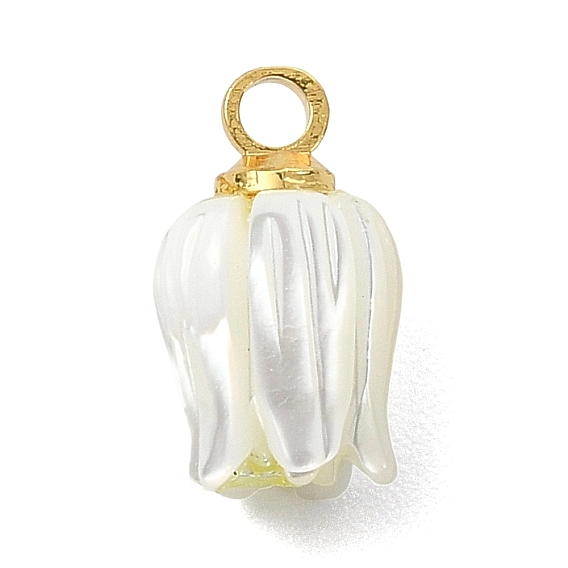 Подвески из натуральной раковины трохида/трохуса., Подвески в виде цветов с латунными креплениями., белые