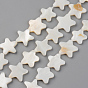 Natural Freshwater Shell Beads Strands, Star