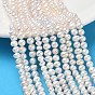 Natural Cultured Freshwater Pearl Beads Strands, Potato