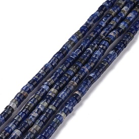 Natural Sodalite Beads Strands, Flat Round