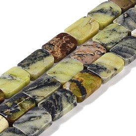 Natural Yellow Turquoise(Jasper) Beads Strands, Rectangle