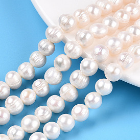 Natural Cultured Freshwater Pearl Beads Strands, Potato