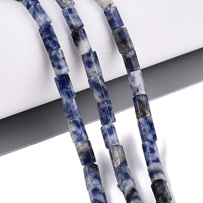 Natural Blue Spot Jasper Beads Strands, Hexagonal Prism