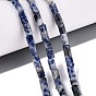 Natural Blue Spot Jasper Beads Strands, Hexagonal Prism