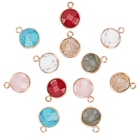 12Pcs 6 Style Natural & Synthetic Mixed Gemstone Pendants, Light Gold Tone Brass Edge, Faceted, Flat Round