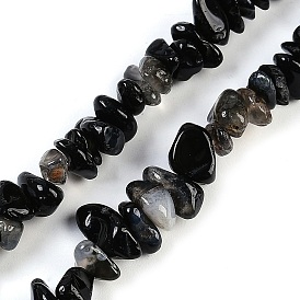 Natural Black Agate Beads Strands, Chip