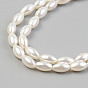 Electroplate Natural Freshwater Shell Beads Strands, Rice