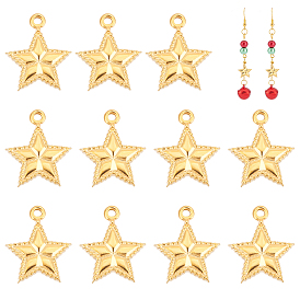 12 pcs 304 dijes de acero inoxidable, estrella