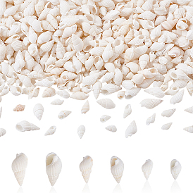 450 шт. 3 стили натуральные спиральные бусины из ракушек, формы раковины, без отверстия 