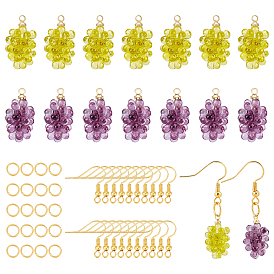 CHGCRAFT DIY Dangle Earring Making Kits, Including 16Pcs 2 Colors Grape Resin Pendants, 20pcs Brass Earring Hooks and 20Pcs Iron Jump Rings, Silver