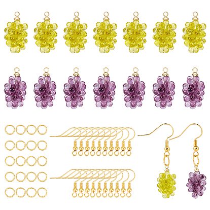 DIY Dangle Earring Making Kits, Including 16Pcs 2 Colors Grape Resin Pendants, 20pcs Brass Earring Hooks and 20Pcs Iron Jump Rings, Silver